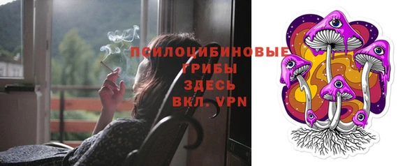 ГАЛЛЮЦИНОГЕННЫЕ ГРИБЫ Алексин