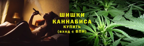 ГАЛЛЮЦИНОГЕННЫЕ ГРИБЫ Алексин